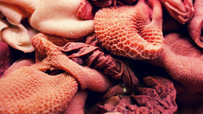 Rüyada İşkembe Görmek Ne Demek? Neye Delalet Eder?