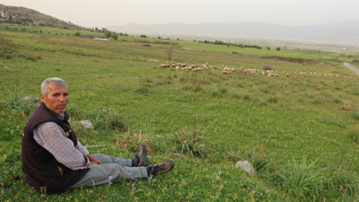Ömrünü çok sevdiği koyunlarına adadı