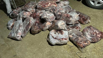 Aydın'da 1 ton domuz eti ele geçirildi