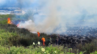 Antalya, Muğla ve Bursa'da orman yangını