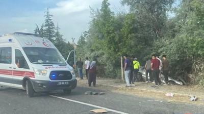 Elazığ'da trafik kazasında 2 kişi yaralandı