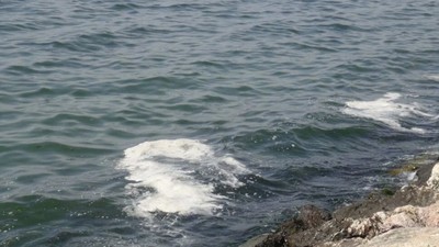 Marmara'da müsilaj kuşkusu! Örnekler TÜBİTAK'a gönderildi