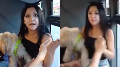 Köpekle otobüse bindi, tepki gösteren yolcularla tartıştı