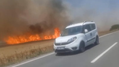 Tekirdağ'da 180 dönümlük buğday tarlası yandı! 3 kişi dumandan etkilendi