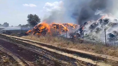 Edirne'de anız yangını: 500 dönümlük arazi kül oldu