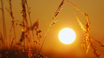 Fransa'da 41 vilayet için turuncu kodlu alarm