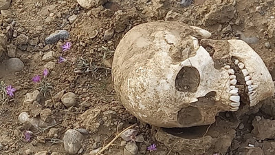 Gümüşhane'de bir garip olay! Yol ortasında insan kafatası bulundu