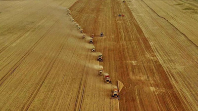 Yabancılar akın akın satın alıyor! O ilde arsa satışları patladı: Ucuz fiyata gidiyor