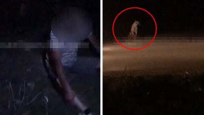 Kartepe'de 60 yaşındaki adam köpeğe tecavüz ederken yakalandı! O sırada sorulan soru...
