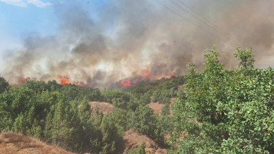 Bingöl'ün Genç ilçesinde orman yangını çıktı