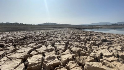 Bodrum'da su krizi yaşanıyor: Baraj seviyesi kritik eşiği aştı