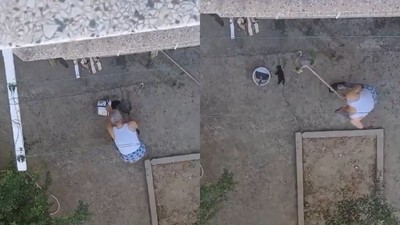 Manisa'da vahşet: 3 yavru kediyi fırça sapıyla öldürdü