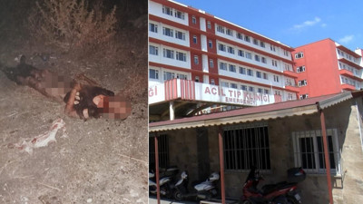 Fatih'te başıboş köpeklerin saldırısına uğrayan kişi hayatını kaybetti