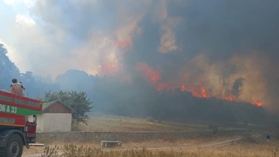 Ankara'daki yangın Bolu'ya sıçradı! Ekipler harekete geçti: İşte sebebi