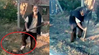 Yaşlı adam yavru köpeği dirgen saplayarak öldürdü