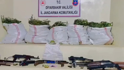 Diyarbakır'da dev operasyon: 15 milyon 882 bin kök kenevir ile 2,5 ton esrar ele geçirildi