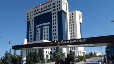 2024 Tarım Bakanlığı hileli ürünler listesini açıkladı! Liste kabarık...