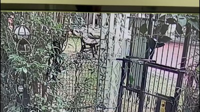 Esenyurt'ta 79 yaşındaki adam, uyardığı çocuk tarafından darp edilerek öldürüldü