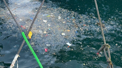 Beşiktaş'taki deniz kirliliği problemi