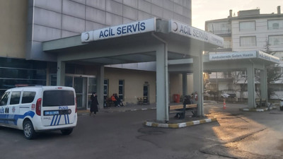 Horoz keserken kendini yaraladı, kan kaybından öldü