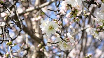 Bayramda yurt genelinde hava nasıl olacak