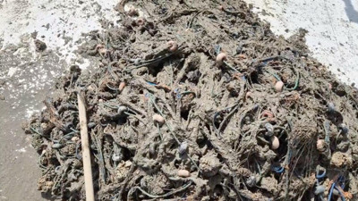 Balık tutacaklardı müsilajla geri döndüler
