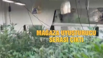 Kötü kokan mağazadan uyuşturucu tesisi çıktı