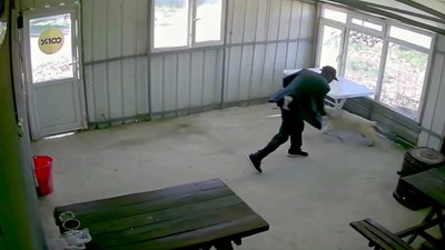 Köy kahvesinde bakılan köpeği bastonuyla darp etti; o anlar kamerada