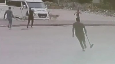 Sokak köpekleri çocuğa saldırdı