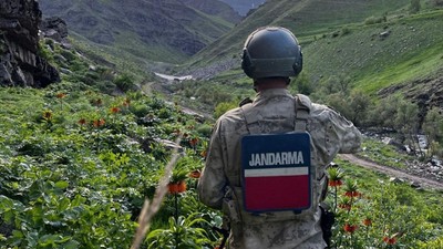 Hakkari'deki ters laleler jandarma tarafından korunuyor