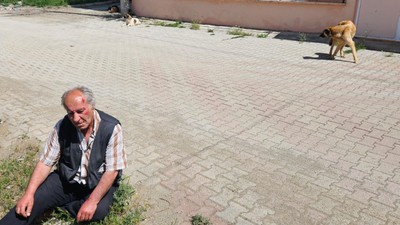 Köpeklerin saldırısına uğrayan yaşlı adam canını zor kurtardı