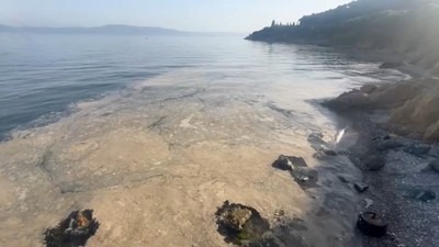 Gemlik Körfezi’nde alarm çalıyor: 50 kilometrelik kıyı kullanılamaz halde