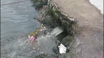 Marmara Denizi’nde kirliliğe neden olan Çınarcık Belediyesi’ne 1.3 milyon TL ceza