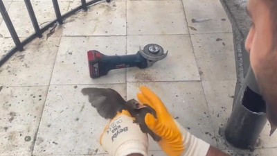 Şanlıurfa'da demir boruya sıkışan yavru kırlangıç kurtarıldı