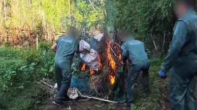 Dünya Miras Listesi'ndeki Hevsel Bahçeleri'nde 2 milyar TL'lik kenevir imha edildi