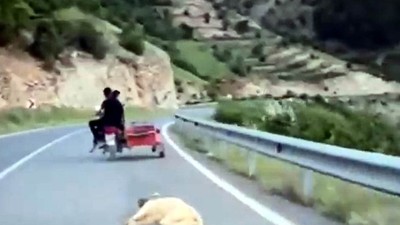 Köpeği motosiklete bağlayıp sürükleyen sürücü gözaltına alındı