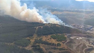 İzmir Aliağa’da orman yangını: Ekipler müdahale ediyor
