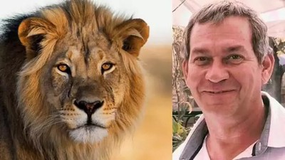 Ünlü iş insanını safari sırasında aslanlar yedi