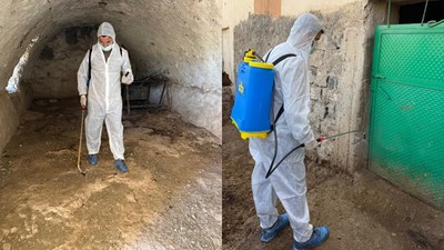 Kurban Bayramı öncesi Şırnak'ta şap paniği! Köy karantinaya alındı