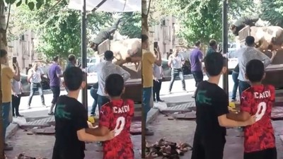 Kızgın boğa kasaba kabus yaşattı