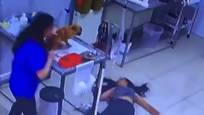 Bursa'da veteriner kliniğinde panik anları! Köpeğini tedavi ettirirken bayıldı