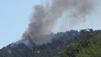 Denizli'deki orman yangını kontrol altında