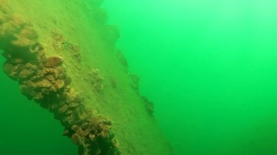 Sapanca Gölü’ne düşen keşif uçağı 53 yıl sonra görüntülendi
