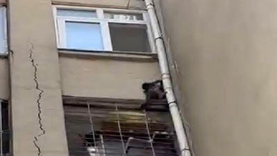 Mersin Tarsus'ta 1 aydır firari maymun güvercinlere saldırıyor