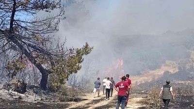 Semaver nedeniyle orman yangınına sebebiyet veren kadına ev hapsi cezası