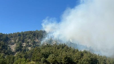 Bilecik'te çıkan orman yangını kontrol altına alındı