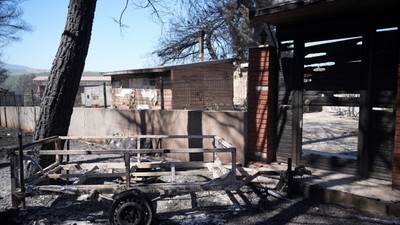 Bornova'da kıvılcım faciası: Yeşil vadi kül oldu