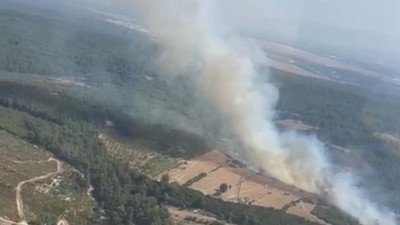 İzmir Buca'daki orman yangınına ilişkin soruşturmada 1 kişi gözaltına alındı