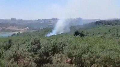 İstanbul Sultangazi Kent Ormanı'nda yangın