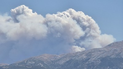 Suriye'de sınıra yakın bölgede orman yangını